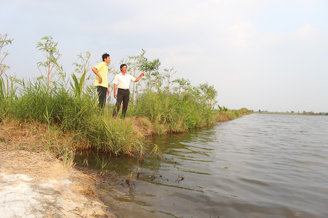 Bài 5: “Đã đến lúc Việt Nam cần thay đổi tư duy của ngành nông nghiệp” ảnh 1