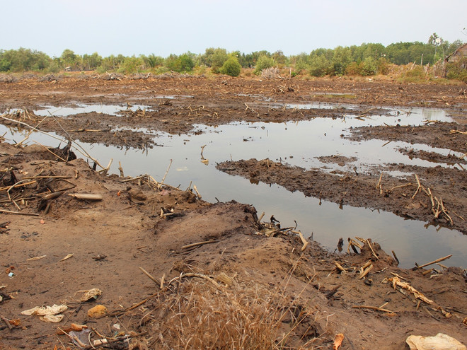 Bài 4: “Muốn giữ vựa lúa miền Tây, phải khôi phục 2 túi nước tự nhiên” ảnh 2