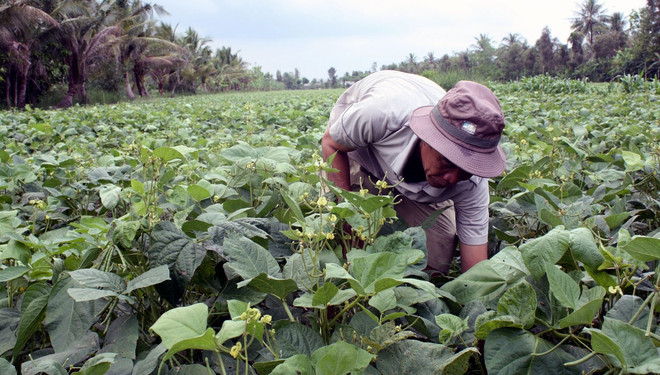 Bài 5: “Đã đến lúc Việt Nam cần thay đổi tư duy của ngành nông nghiệp” ảnh 2