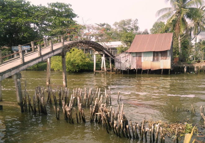 Bài 3: Chi nghìn tỷ đồng cứu lúa: Chống trời hay thuận theo tự nhiên? ảnh 1