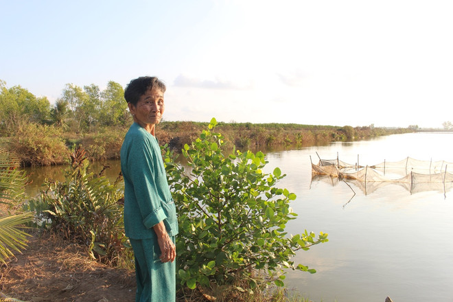 Bài 3: Chi nghìn tỷ đồng cứu lúa: Chống trời hay thuận theo tự nhiên? ảnh 3