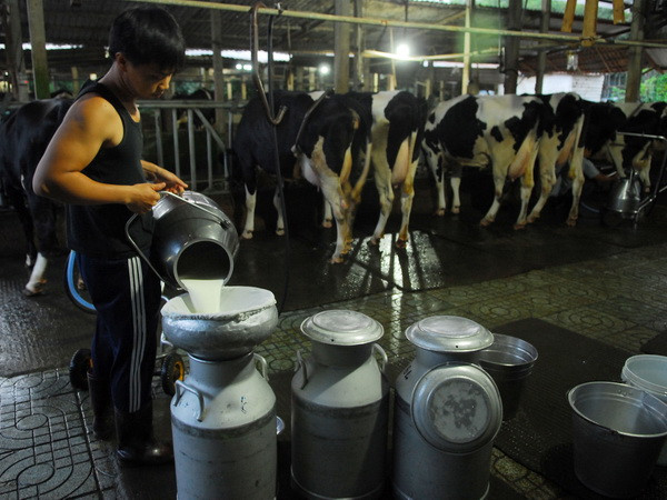 Cần trung tâm kiểm định chất lượng sữa độc lập để tránh tranh chấp ảnh 1