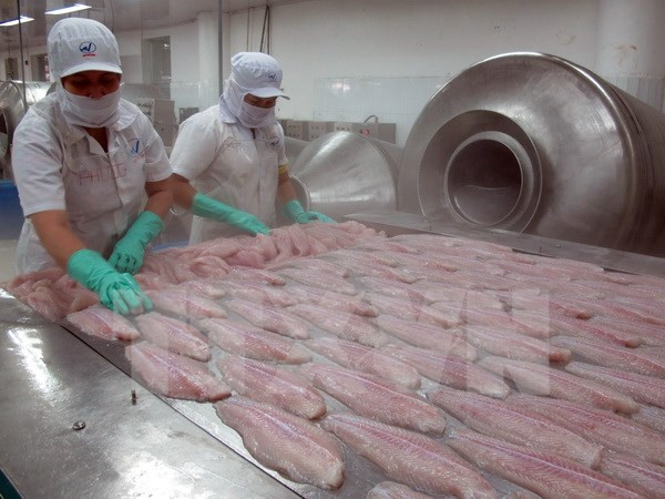 Không thay đổi quy định “tỷ lệ mạ băng” cá tra xuất khẩu ảnh 1