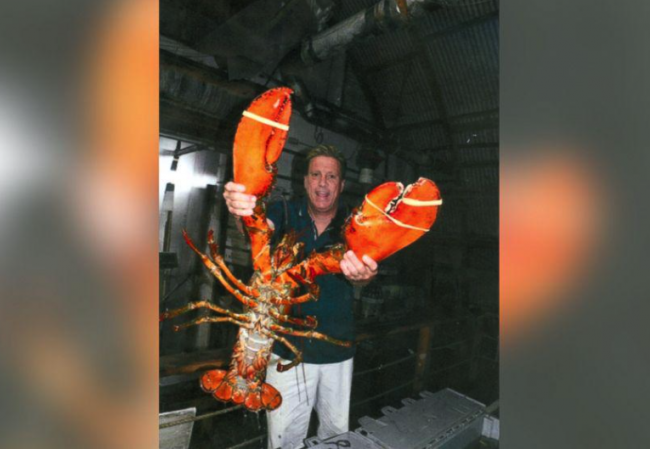 "Quái vật" tôm hùm khổng lồ dài tới 1,5m có 95 năm tuổi ảnh 1