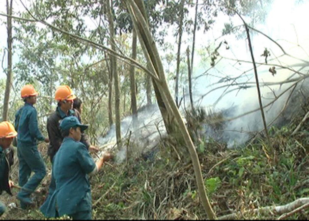 Khống chế thành công đám cháy tại Vườn quốc gia Hoàng Liên ảnh 1