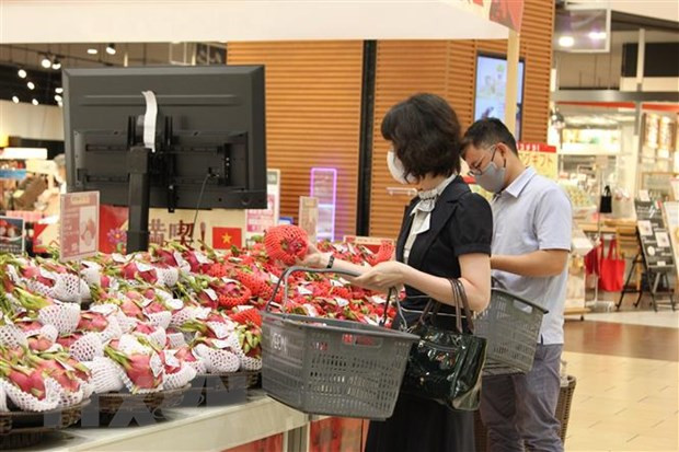 Hợp tác kinh tế Việt Nam-Nhật Bản hướng tới giai đoạn phát triển mới ảnh 2