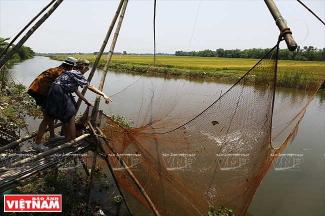 Cảm nhận không gian cổ kính dân dã với chợ quê Thanh Toàn ảnh 13