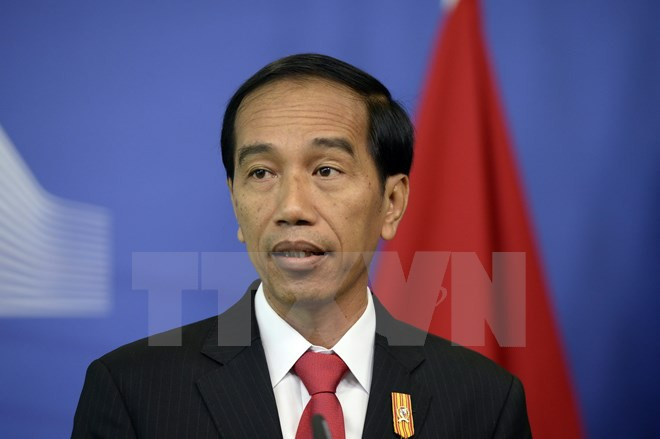Tổng thống Indonesia Joko Widodo tới thăm quần đảo Natuna ảnh 1