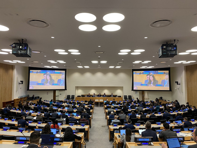 Việt Nam: Khuôn khổ toàn cầu về quản lý đạn phải phù hợp luật quốc tế ảnh 1