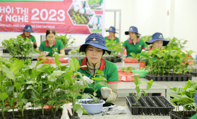 Phát triển 'nóng" các loại nông sản ở Tây Nguyên: Đâu là giải pháp? ảnh 6