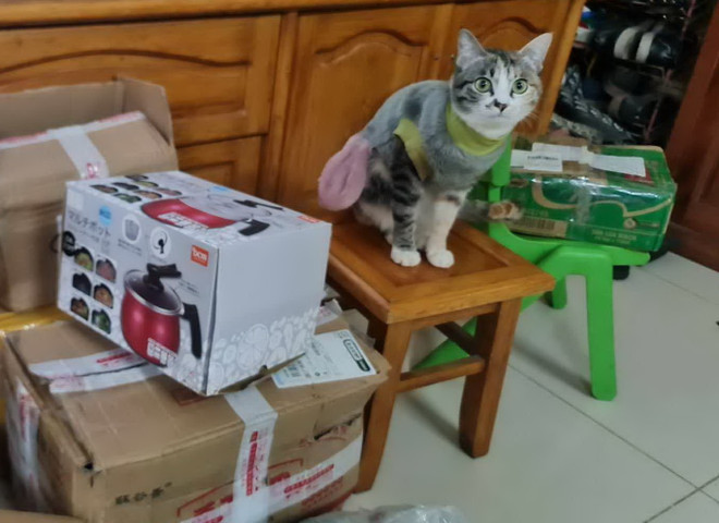 Áp thuế bán hàng qua mạng: Cần thiết nhưng con số nào là hợp lý? ảnh 2