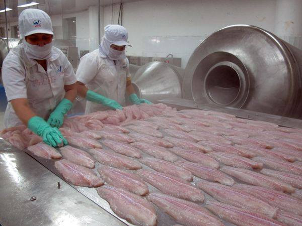 “Tại sao Việt Nam không thể trở thành một bếp ăn của thế giới" ảnh 1