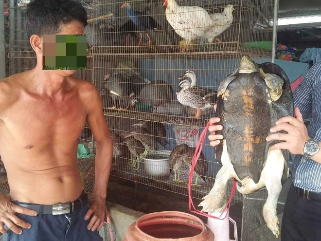 Bài 2: Mục sở thị chợ ‘‘địa ngục’’ sát hại động vật ‘‘sách đỏ’’ ảnh 1