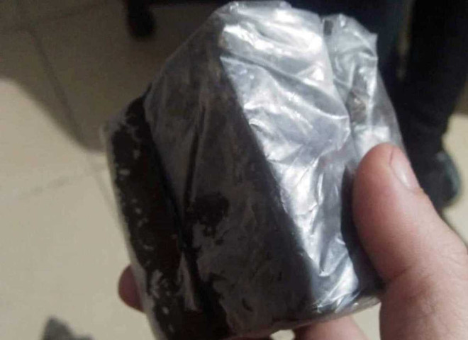 Bài 4: Động vật “sách đỏ” lâm nguy, rùa đứng đầu nguy cơ tuyệt chủng ảnh 3