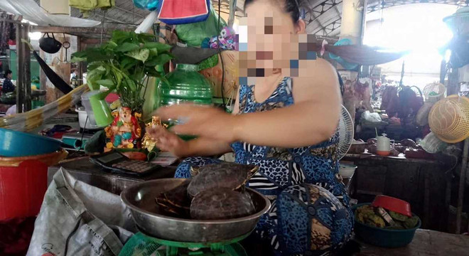 Hoạt động buôn bán động vật "sách đỏ" diễn ra công khai ở trong chợ thực phẩm Tam Nông. (Ảnh: H.V/Vietnam+) Thâm nhập 'thế giới ngục tù' tàn sát động vật trong 'sách đỏ' Việt Nam ảnh 3