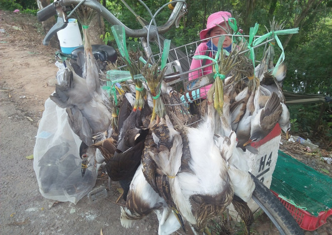 Bài 2: Mục sở thị chợ ‘‘địa ngục’’ sát hại động vật ‘‘sách đỏ’’ ảnh 2