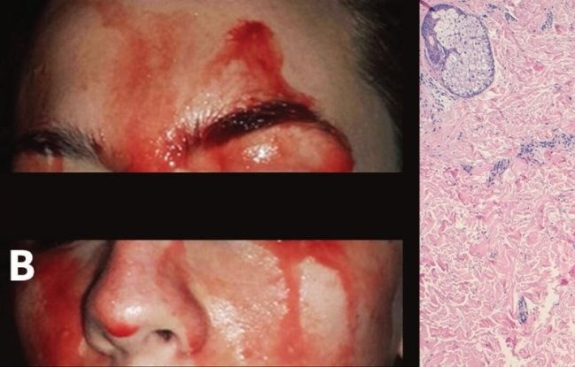 (Nguồn: sciencealert.com) Sự kiện quốc tế 23-29/10: Kết quả Đại hội Đảng Cộng sản Trung Quốc ảnh 5
