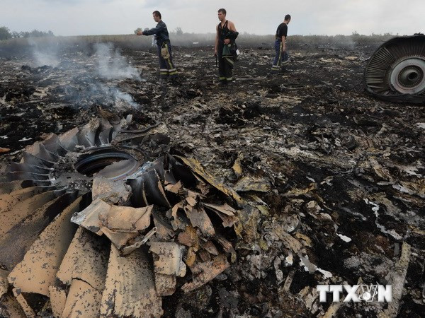Nhóm điều tra vụ MH17 chỉ còn gần 1 tháng để thu thập chứng cứ ảnh 1