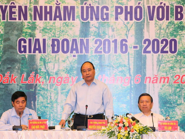 Thủ tướng: Đóng cửa rừng tự nhiên, nghiêm cấm phá rừng lấy đất ảnh 1