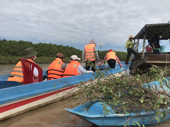 Việt-Hàn chung sức phục hồi rừng ngập mặn tại tỉnh Trà Vinh ảnh 3