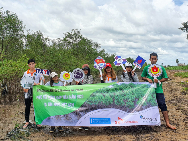 Việt-Hàn chung sức phục hồi rừng ngập mặn tại tỉnh Trà Vinh ảnh 4