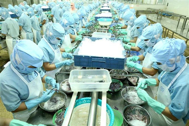 Khắc phục "thẻ vàng" IUU: Hành trình đến với nghề cá có trách nhiệm ảnh 1