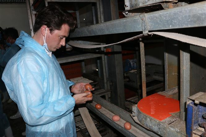 Nông nghiệp thông minh: Tạo chuỗi giá trị sản xuất khép kín ảnh 2