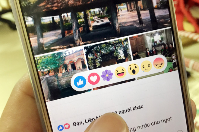 Cư dân mạng hào hứng với biểu tượng bông hoa tím của Facebook ảnh 1
