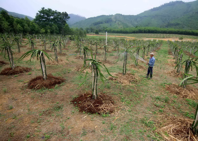 "Hà Tĩnh là nhân tố xây dựng nông thôn mới cần được nhân rộng" ảnh 1