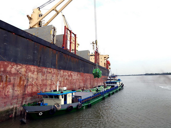 Tăng hợp tác thương mại đầu tư đóng vai trò quan trọng trong APEC ảnh 3