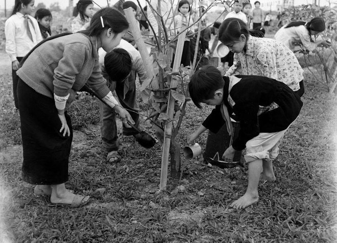 Đội Thiếu niên Tiền phong Hồ Chí Minh - 80 năm viết nên trang sử vàng ảnh 3