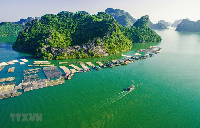 Nuôi cá lồng bè trên Vịnh Gia Luận-Cát Bà tạo cảnh quan đẹp thu hút du khách khi thưởng ngoạn du lịch biển đảo của Hải Phòng. (Ảnh: Trọng Đạt/TTXVN) Hiến kế giúp ngành du lịch Hải Phòng tăng trưởng mạnh mẽ sau dịch ảnh 1