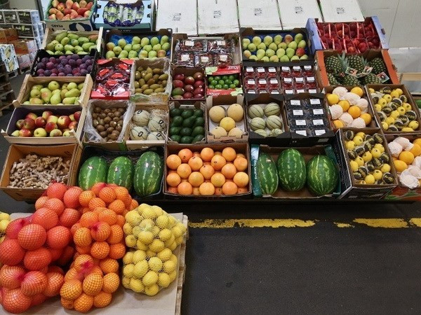 EU xem xét kiện lên WTO về các biện pháp đáp trả của Nga ảnh 1