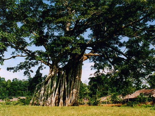  Tổng Bí thư đến thăm Khu di tích quốc gia đặc biệt Tân Trào ảnh 1