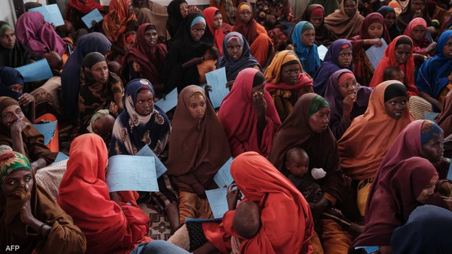 An ninh lương thực là vấn đề sống còn của các quốc gia Arab ảnh 1