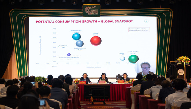 Đắc Lắk: Tập trung phát triển càphê chất lượng cao, bền vững ảnh 2