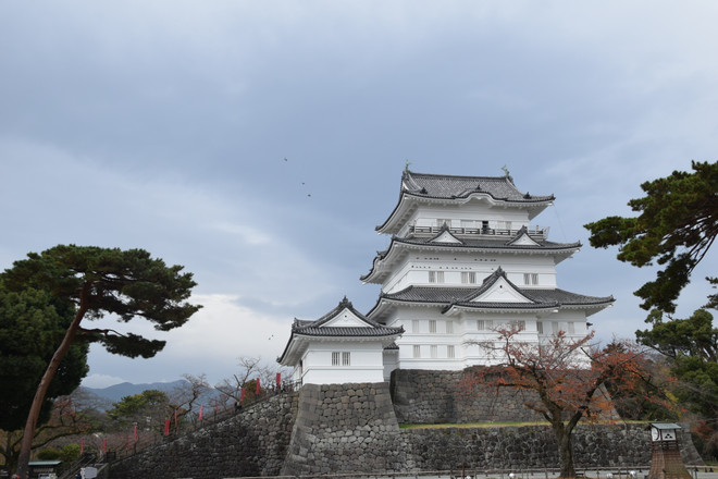 Hành trình đưa du khách đến với đất nước Nhật Bản cổ xưa ảnh 1