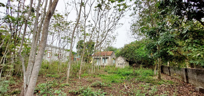 Ngôi nhà bị bỏ hoang nhiều năm do không được cải tạo, sửa chữa. (Ảnh: Thanh Vân/TTXVN) Quảng Ninh: Người dân vùng dự án “sống mòn” vì quy hoạch “treo” ảnh 1