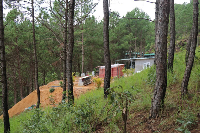 Lâm Đồng: Xử phạt hành chính công trình không phép tại Đà Lạt ảnh 1