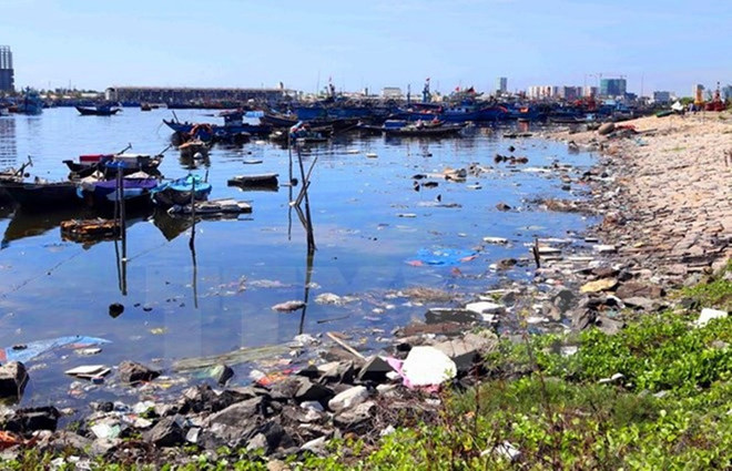 Đại sứ quán Hoa Kỳ chia sẻ giải pháp bảo vệ kho báu đại dương ảnh 1