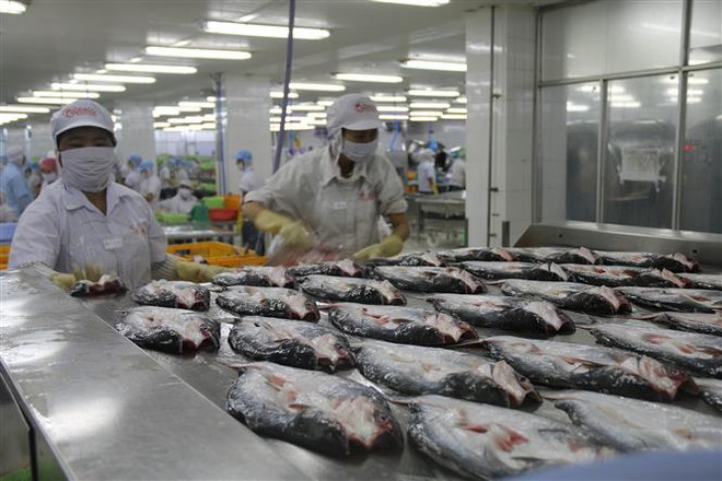 Các ngân hàng nước ngoài đánh giá tích cực triển vọng kinh tế Việt Nam ảnh 1