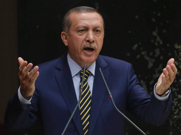 Thủ tướng Thổ Nhĩ Kỳ đặt điều kiện rút dự luật cải cách ảnh 1