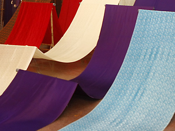 Sản vật tiến vua lần đầu tiên trưng bày tại Hội chợ Xuân ảnh 1