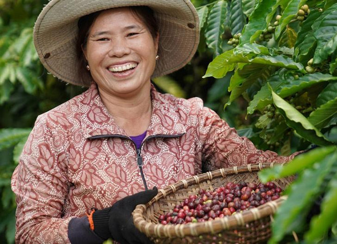 VCSF 2020: Nestlé Việt Nam cam kết ‘một tương lai không rác thải’ ảnh 3