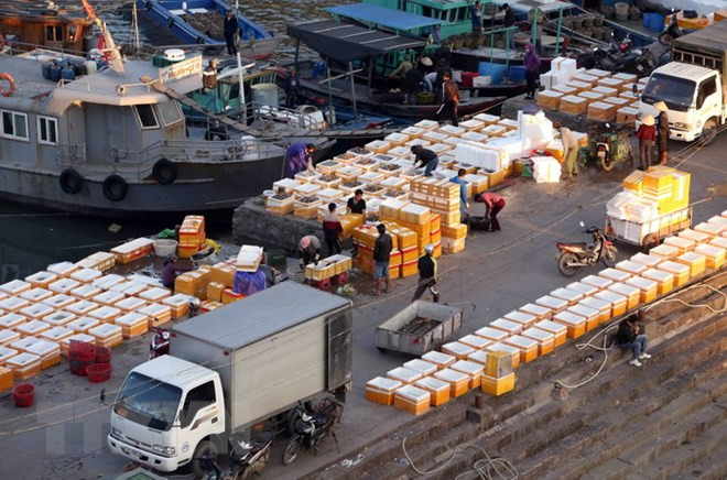 Sự kiện trong nước 28/5-3/6: AVG và luật về đặc khu kinh tế ảnh 6