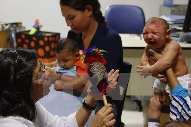 Sự kiện trong nước 29/2-6/3: Phấn đấu tăng trưởng GDP 2016 đạt 7% ảnh 8