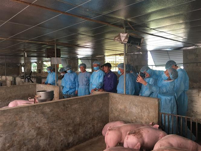 Quảng Ninh lập hàng loạt chốt kiểm dịch ở các 'cửa ngõ' tỉnh ảnh 1