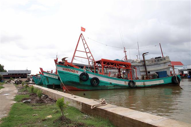 Cà Mau: Tăng ý thức trách nhiệm của ngư dân nhằm gỡ "Thẻ Vàng" ảnh 2