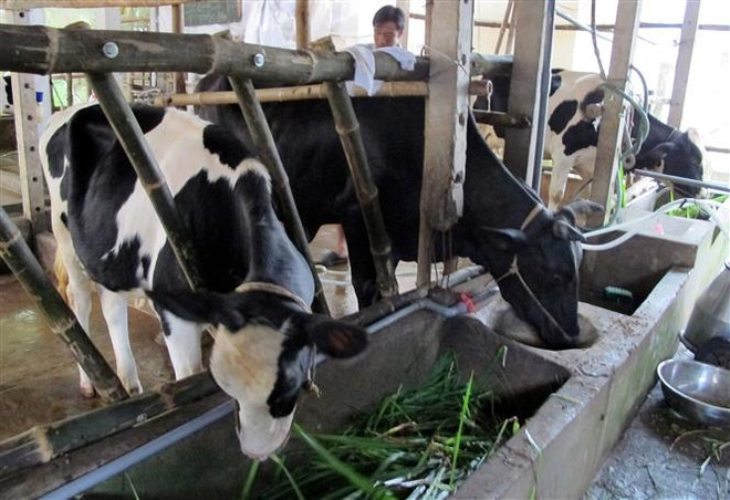 Tận dụng lợi thế để gia tăng xuất khẩu sang thị trường Canada ảnh 2