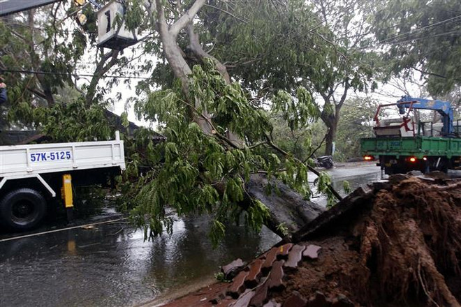 Hoàn lưu bão số 9 gây mưa to trên diện rộng tại Tiền Giang ảnh 2